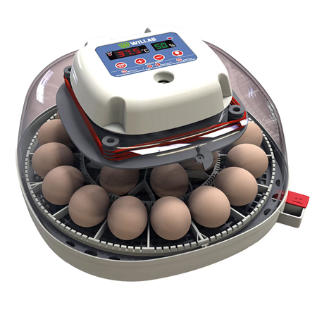 Willab Äggkläckare med inbyggd ägglampa