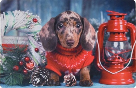 Dörrmatta djur - Jultax